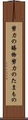 努力の賜物 Scroll