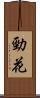 勁花 Scroll