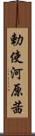 勅使河原茜 Scroll