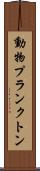 動物プランクトン Scroll