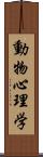 動物心理学 Scroll