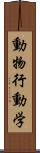 動物行動学 Scroll