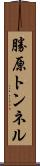 勝原トンネル Scroll