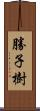 勝子樹 Scroll