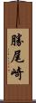 勝尾崎 Scroll