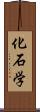 化石学 Scroll