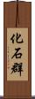 化石群 Scroll