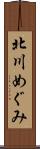 北川めぐみ Scroll