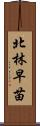 北林早苗 Scroll