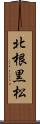 北根黒松 Scroll