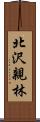 北沢親林 Scroll