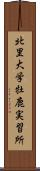 北里大学牡鹿実習所 Scroll