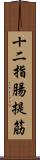 十二指腸提筋 Scroll