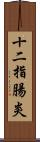 十二指腸炎 Scroll