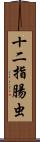 十二指腸虫 Scroll