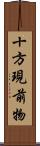 十方現前物 Scroll