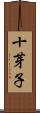 十芽子 Scroll