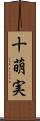 十萌実 Scroll