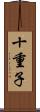 十重子 Scroll