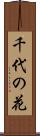 千代の花 Scroll