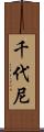 千代尼 Scroll