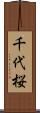 千代桜 Scroll