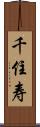 千住寿 Scroll