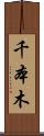 千本木 Scroll
