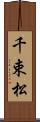 千束松 Scroll