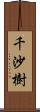 千沙樹 Scroll