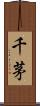 千茅 Scroll
