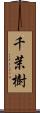 千茉樹 Scroll