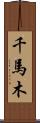 千馬木 Scroll