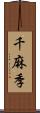 千麻季 Scroll