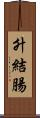 升結腸 Scroll
