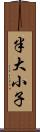 半大小子 Scroll