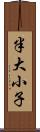 半大小子 Scroll