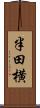 半田横 Scroll