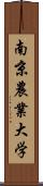 南京農業大学 Scroll