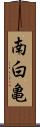 南白亀 Scroll