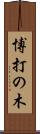 博打の木 Scroll