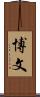 博文 Scroll