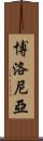 博洛尼亞 Scroll