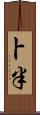 卜半 Scroll