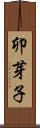 卯芽子 Scroll