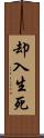 却入生死 Scroll