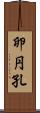 卵円孔 Scroll