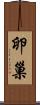 卵巢 Scroll