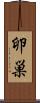 卵巣 Scroll