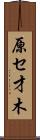 原セ才木 Scroll
